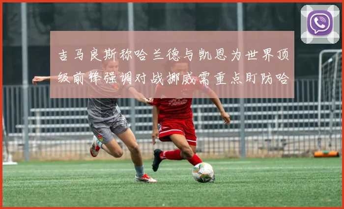 吉马良斯称哈兰德与凯恩为世界顶级前锋强调对战挪威需重点盯防哈兰德