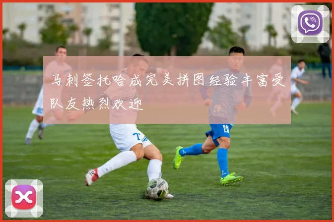 马刺签托哈成完美拼图经验丰富受队友热烈欢迎