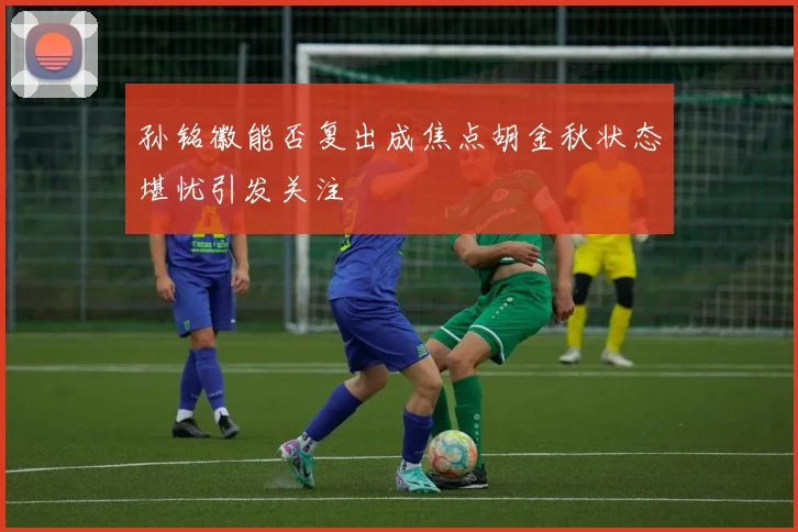 孙铭徽能否复出成焦点胡金秋状态堪忧引发关注