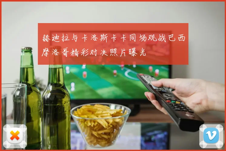 赫迪拉与卡洛斯卡卡同场观战巴西摩洛哥精彩对决照片曝光